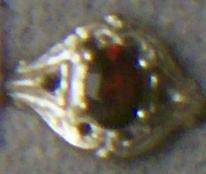 ring04.jpg